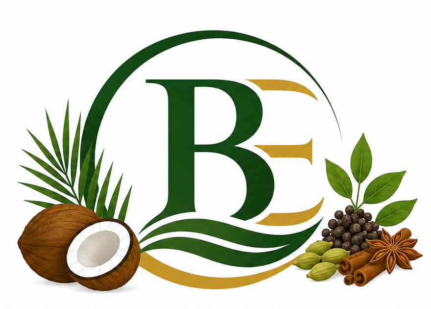 Benzamora Exim logo